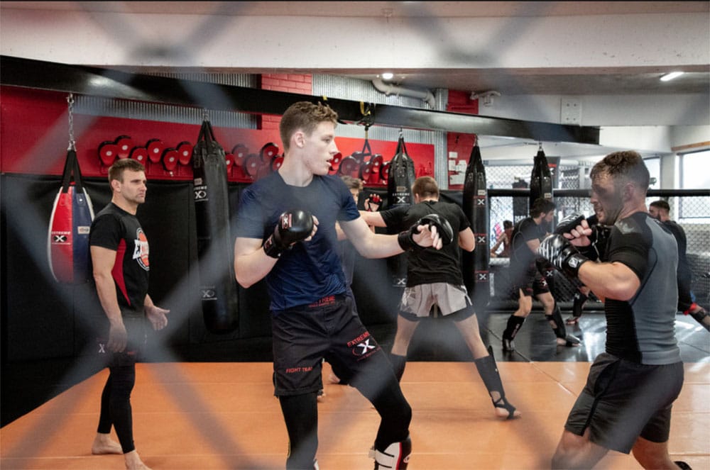 Mma Gym Local Seo Case Study 10