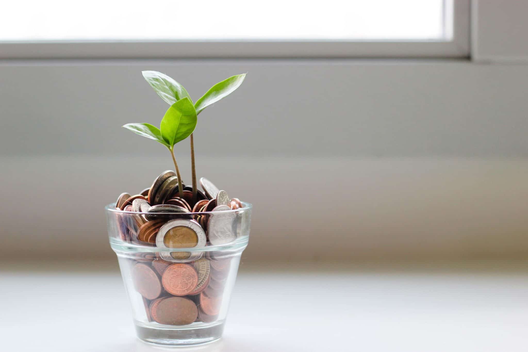 How To Grow From Government Grant - Plant Growing From Coins